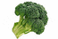 Брокколи (сицилийские)/Broccolo (sicilia)